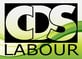 CDS labour